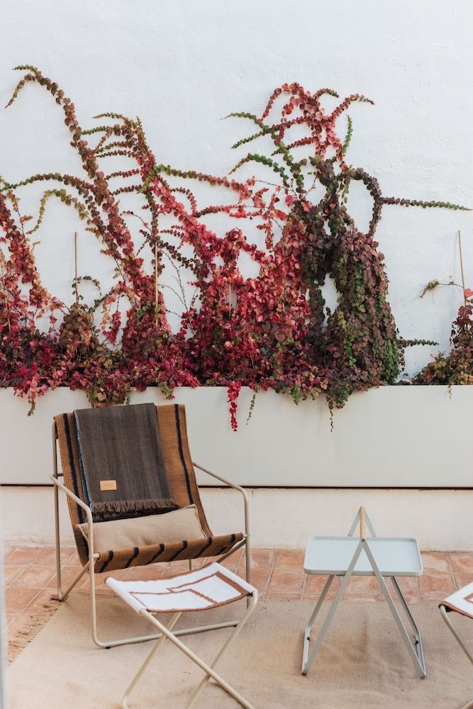 undefined Plácido y Grata 2