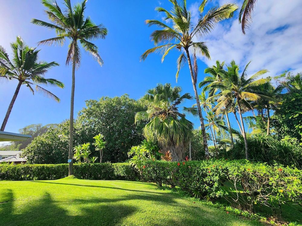 Arnott's Lodge Basic Twin Room 4