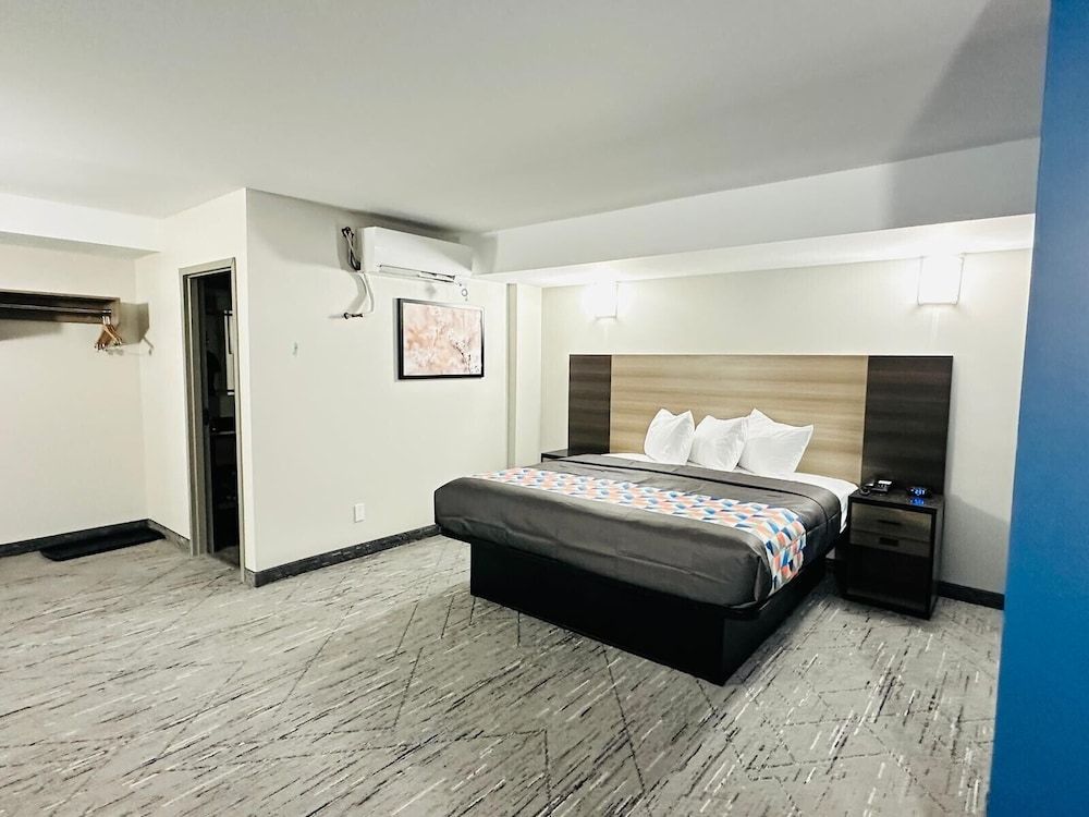 Standard Basement Room, 1 King Bed