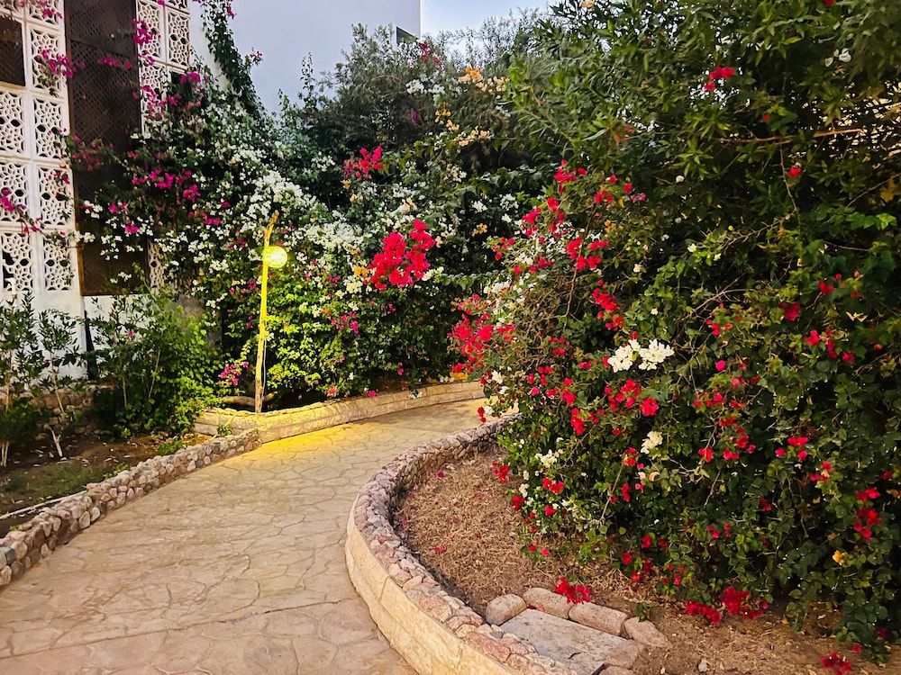 undefined Viking Club Hotel 10