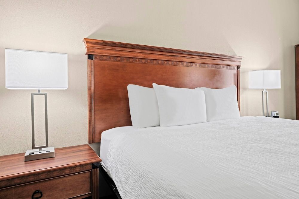 Room, 1 King Bed, Non Smoking, Microwave