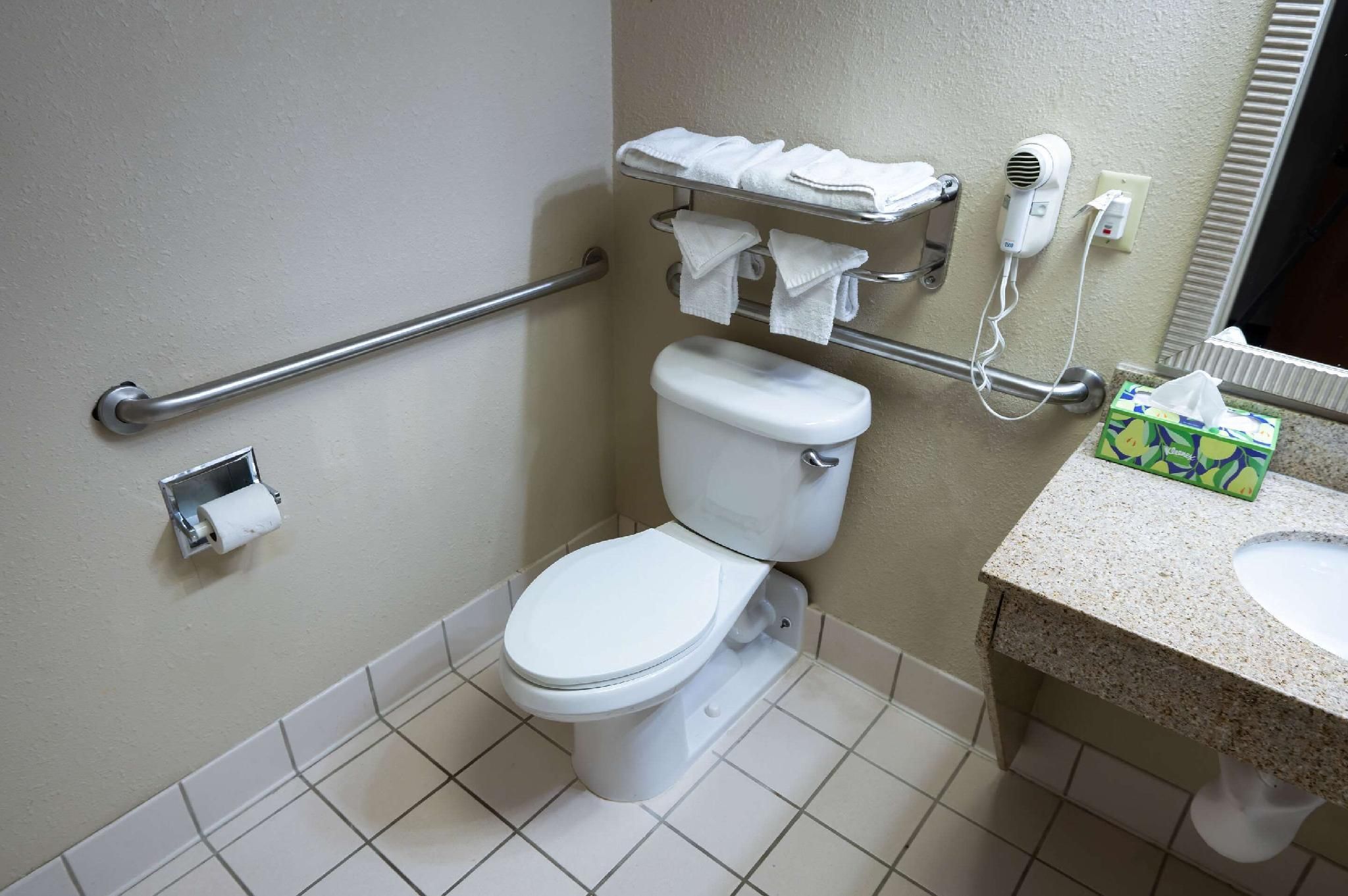 1 King Bed, Nonsmoking, Accessible