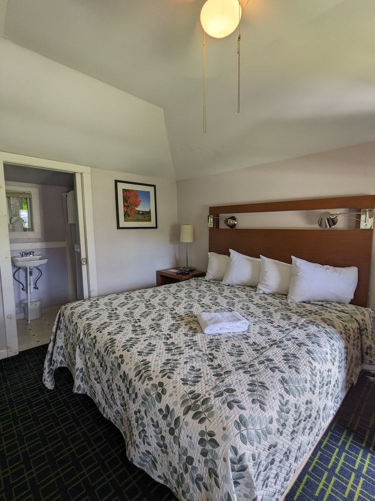 Cabin, 1 King Bed