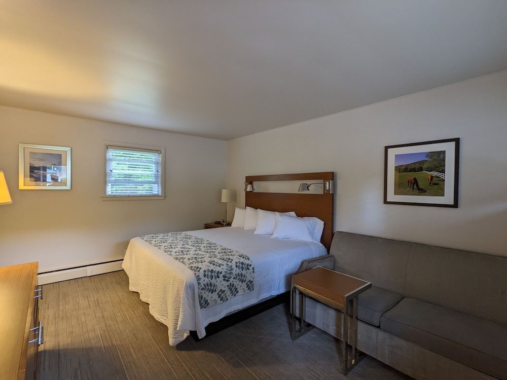 Room, 1 King Bed with Sofa bed