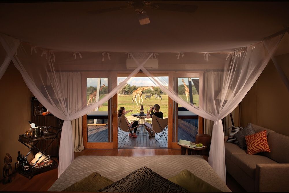 Animal View Lodge