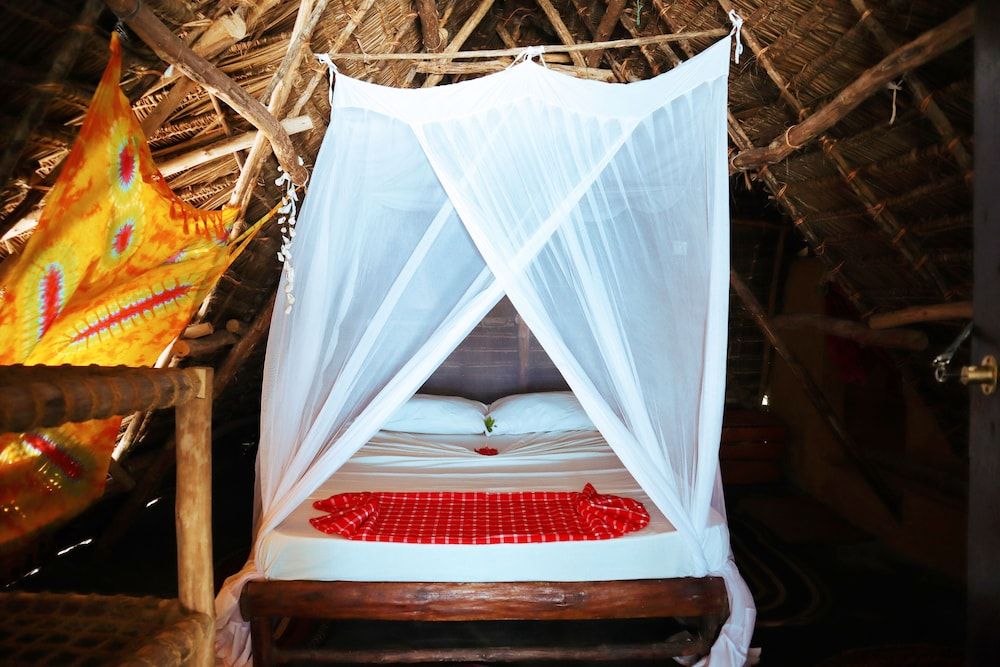 Evergreen Bungalows Economy Room 4