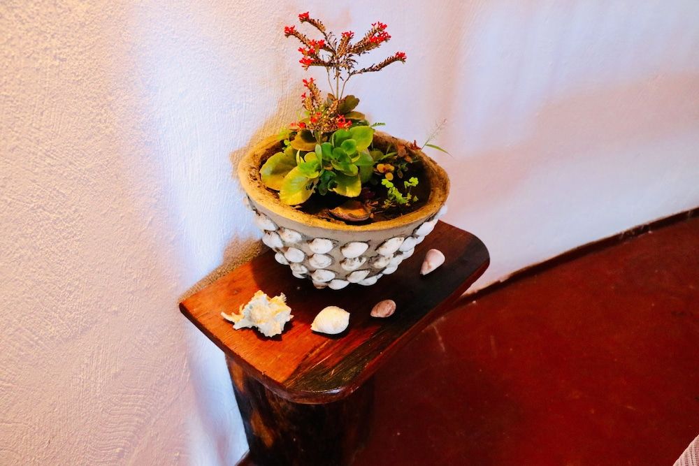 Evergreen Bungalows Grand Room 4