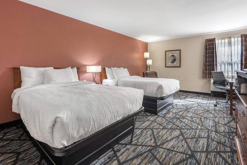 Standard Room, 2 Double Beds, Non Smoking, Refrigerator & Microwave
