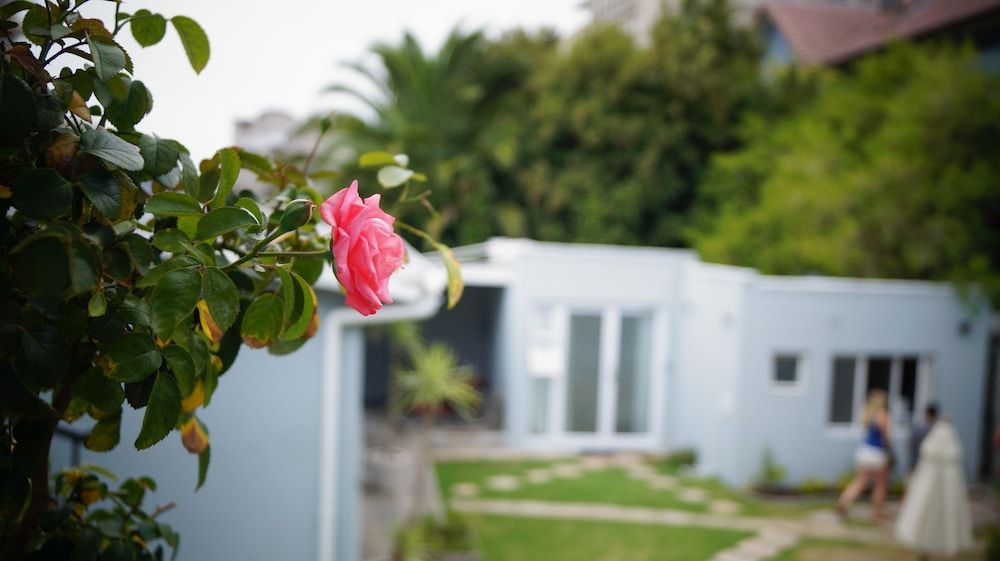 undefined Atlantic Point Backpackers 6