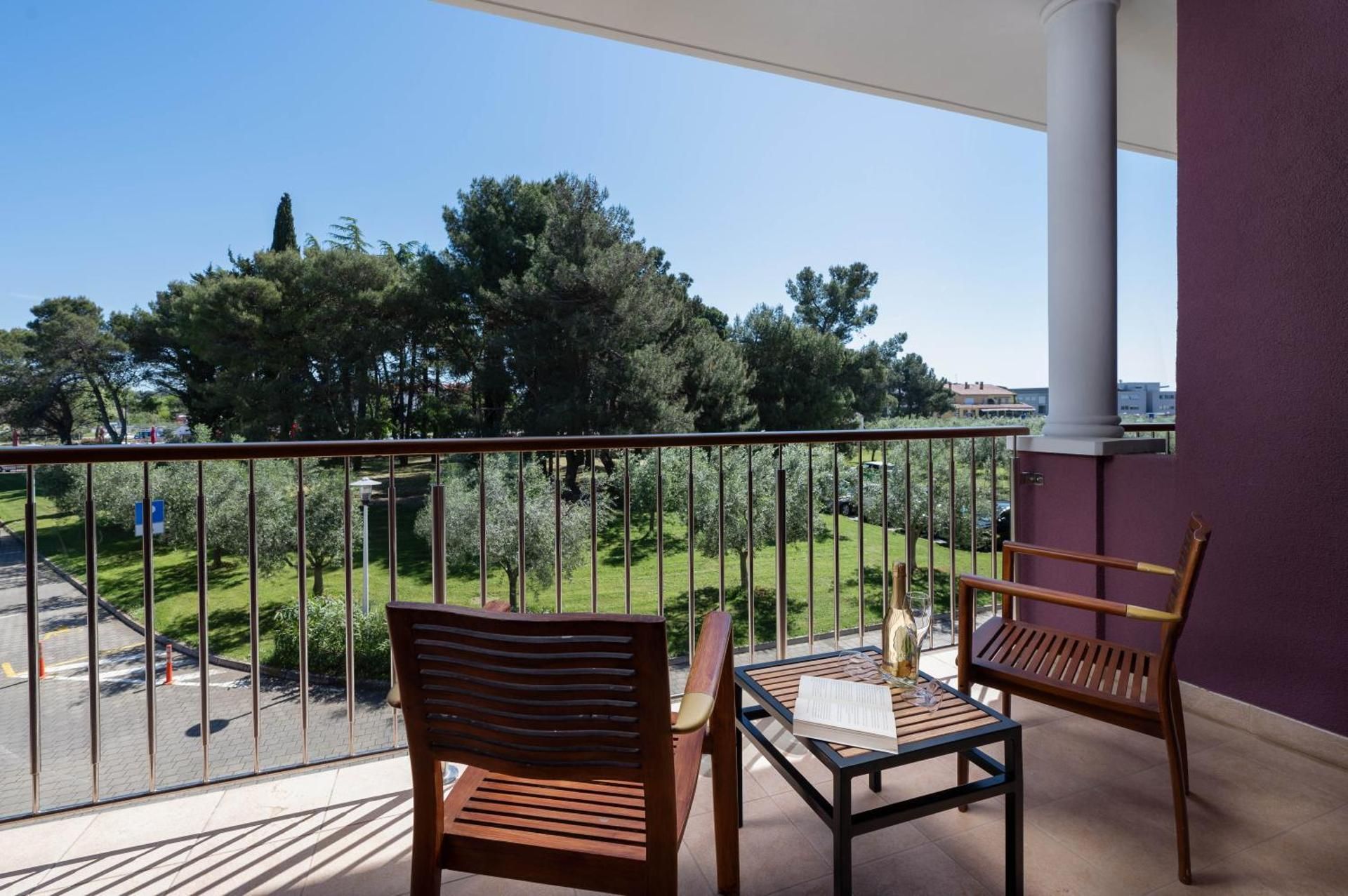 Double Room with Balcony and Park View