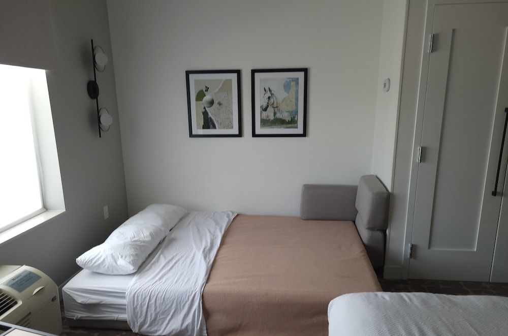 Studio, 1 King Bed with Sofa bed