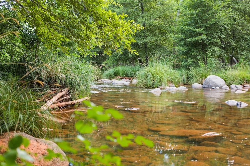Outdoor Wedding Area