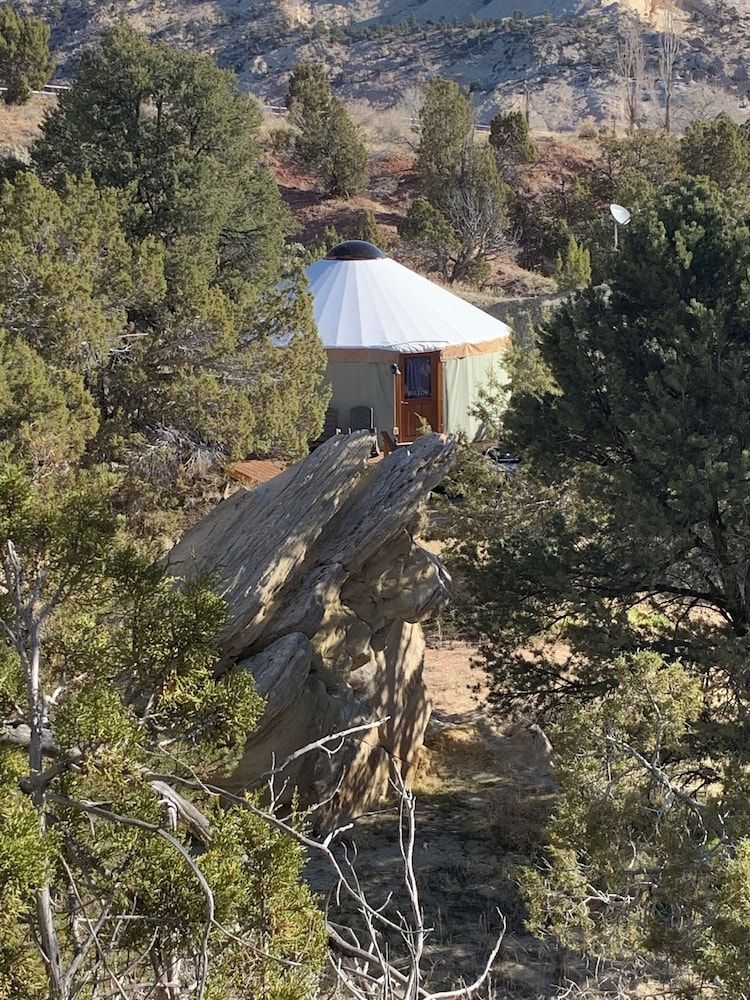 Escalante Yurts Aspen Yurt 4