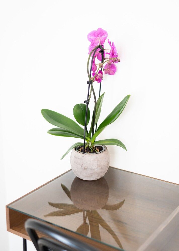 Prochytea Economy Double Room 6