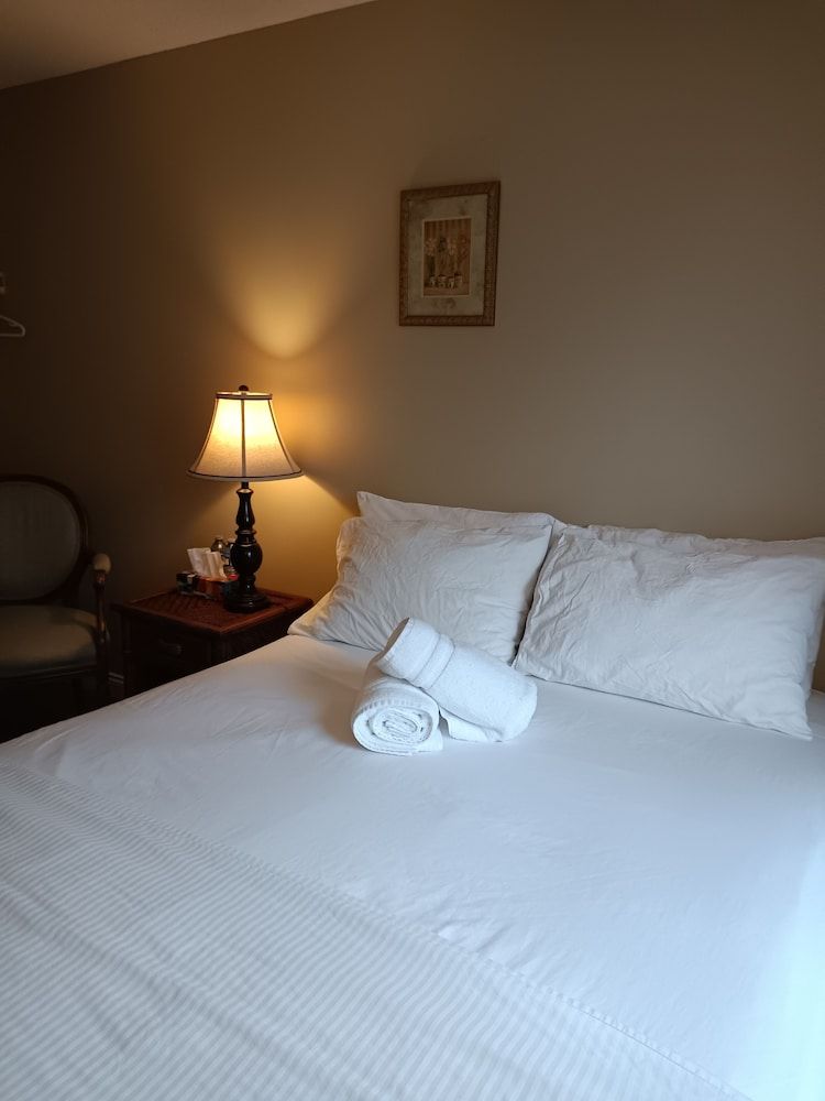 Painted Turtle Guesthouse (Hostel) Classic Room, 1 Queen Bed, Shared Bath, Shared Living Space 7