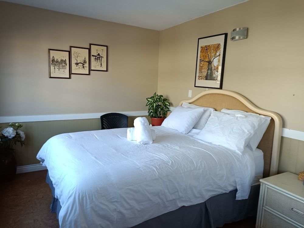 Painted Turtle Guesthouse (Hostel) Family Room, Shared Bath, Shared Living Space 3