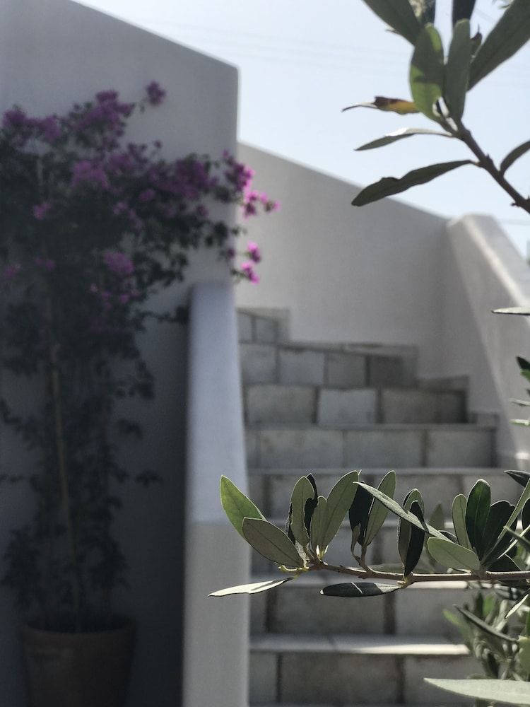 undefined Elia Residences Santorini 4