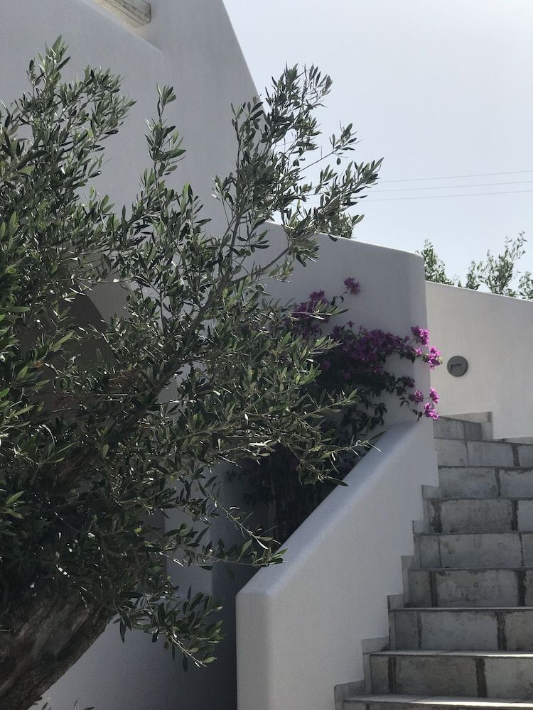 undefined Elia Residences Santorini 5
