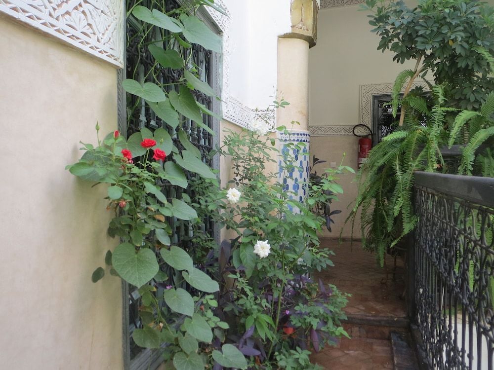 undefined Riad Maizie 6