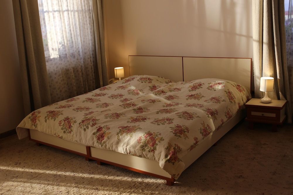 Pensiunea Luiza Double or Twin Room