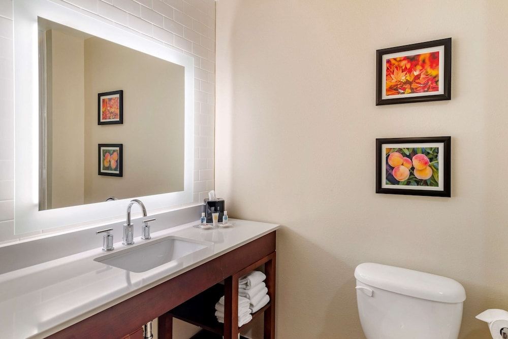 Comfort Suites Suite, 1 King Bed, Non Smoking 3