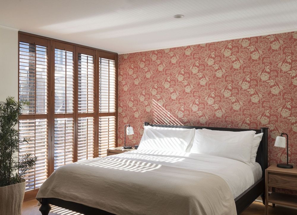 Room, 1 King Bed