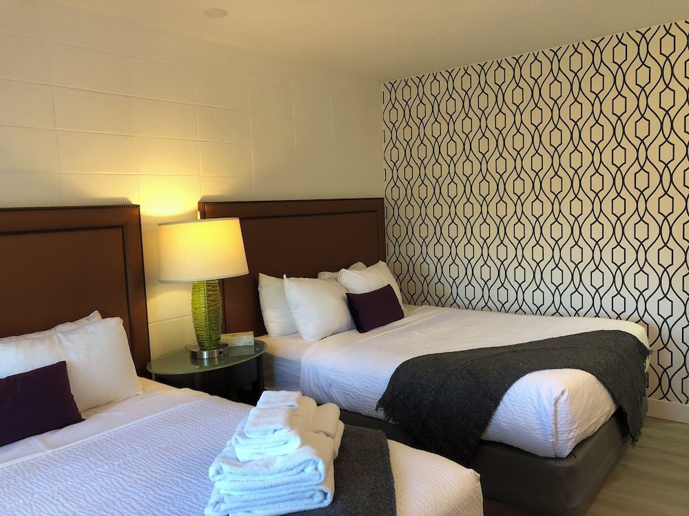 The Spot 2 Queen Room 2