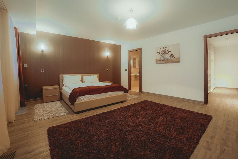 Silver Mountain Resort & SPA Superior Double Room, 1 Queen Bed, Non Smoking 2