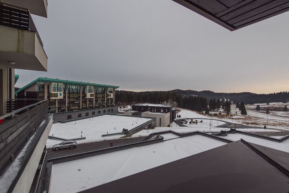 Silver Mountain Resort & SPA Superior Double Room, 1 Queen Bed, Non Smoking 8