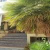 Mamboo Hotel Cala Ratjada