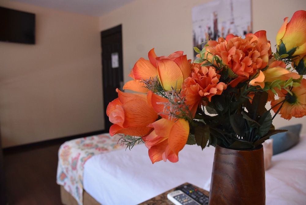 Hostel Casa Colon Superior Room, Multiple Beds (Private) 5