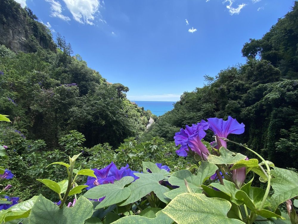 undefined Matteo's House B&b 5