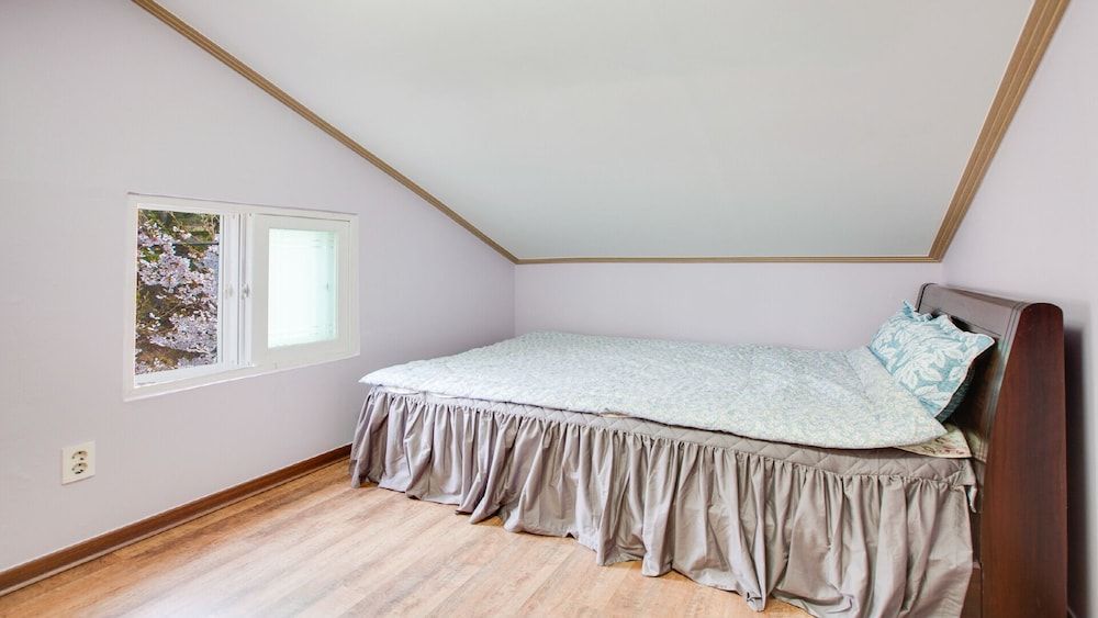 Vellise Pension Dandelion 2