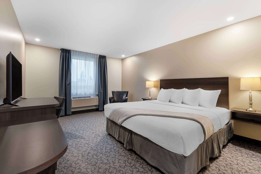Standard Room, 1 King Bed, Accessible, Refrigerator & Microwave (Pet Friendly)