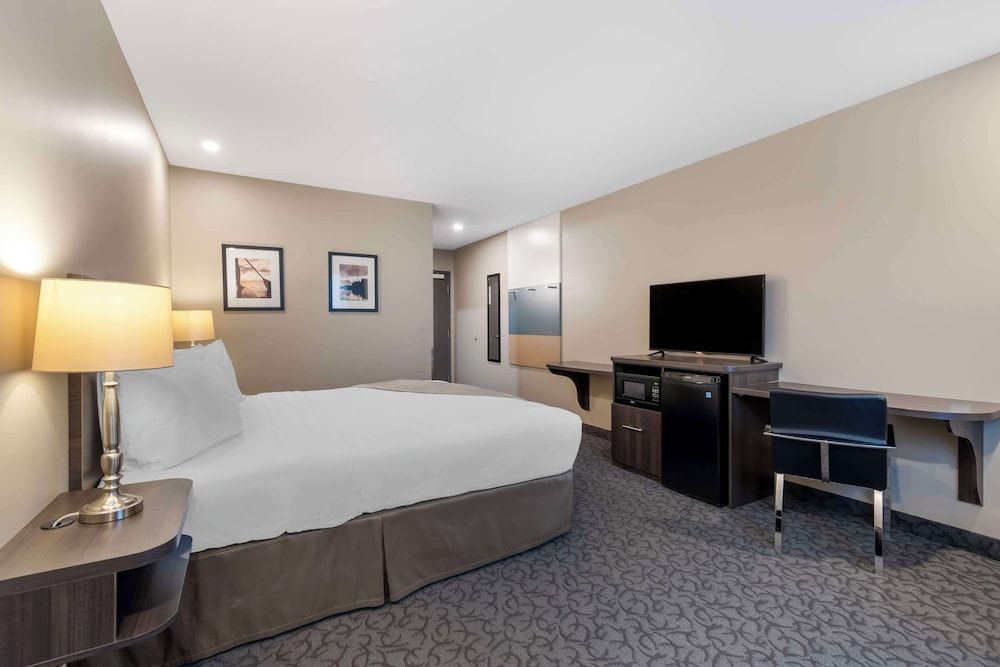 Standard Room, 1 King Bed, Accessible, Refrigerator & Microwave (Pet Friendly)