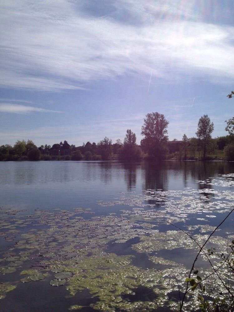 Water-based activities