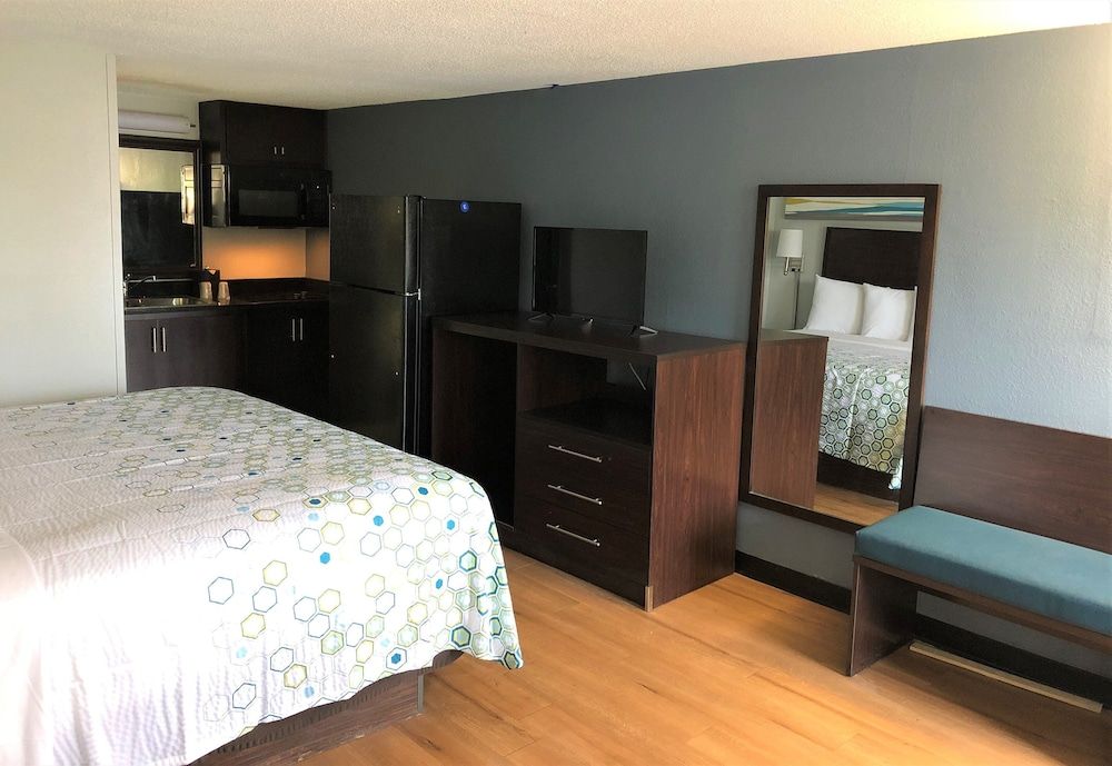 Standard Studio, 1 King Bed, Accessible, Non Smoking (Roll-In Shower)