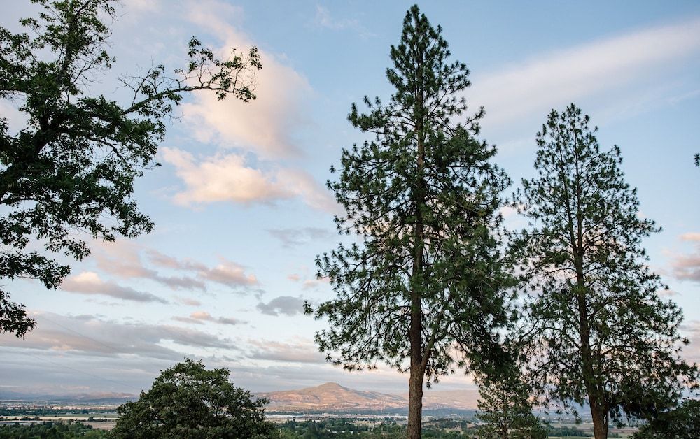 Hummingbird Estate Wine & Suites Luxury Suite, 1 King Bed, Syrah Suite 6