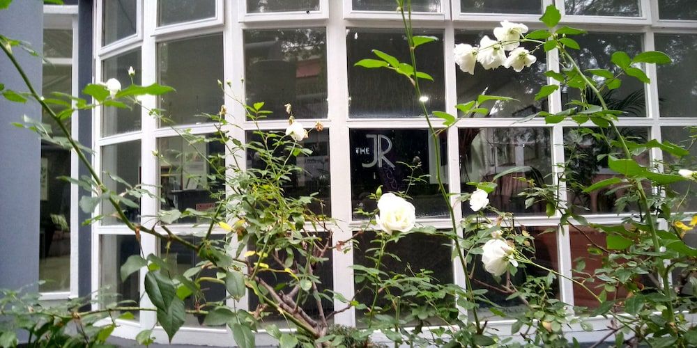 undefined The Jack Rose 7