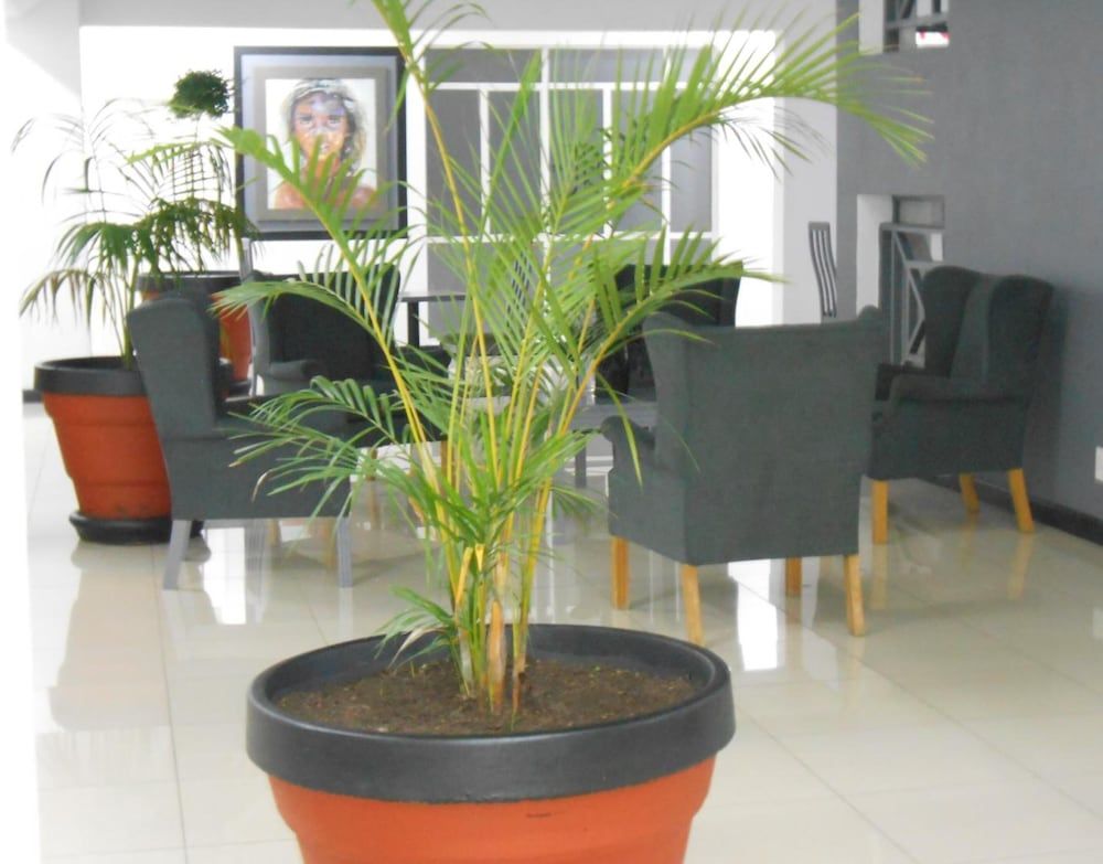 undefined The Jack Rose