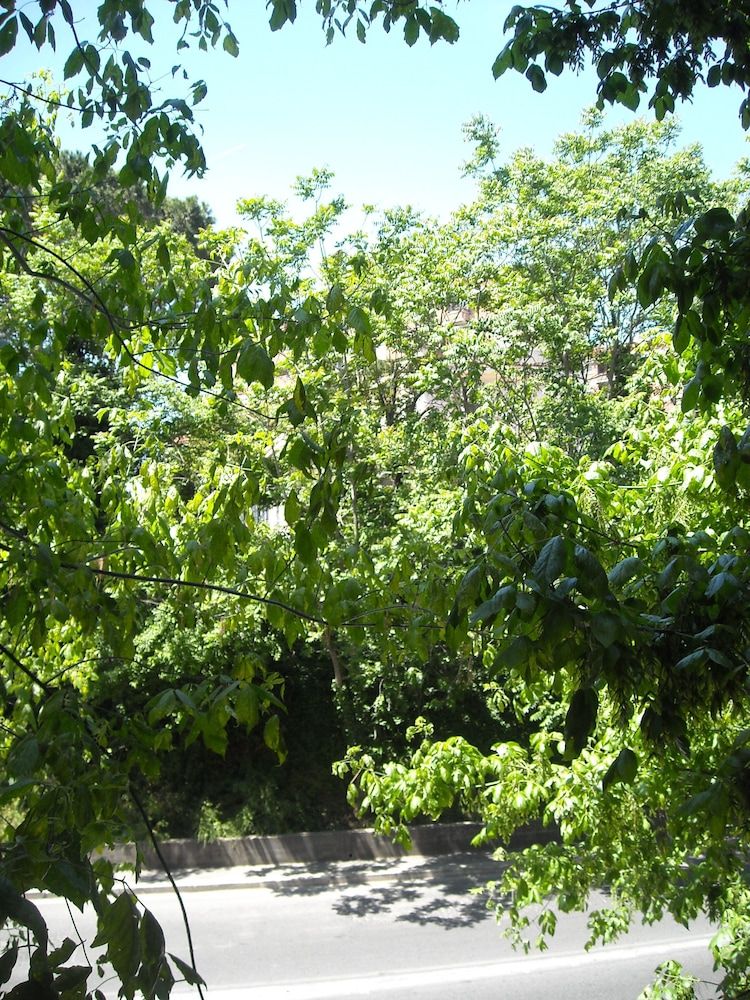 undefined Il Granello di Senape 3