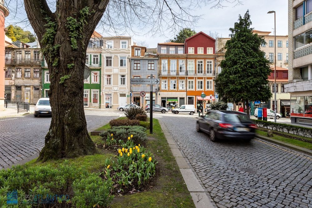 undefined Geo Studios Santa Catarina 6