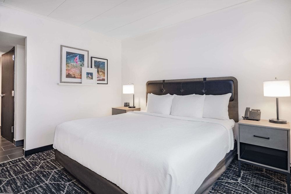 Room, 1 King Bed, Accessible, Non Smoking (Mobility, Roll-In Shower)