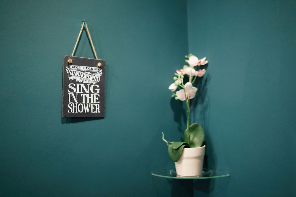 The Limes Double Room (Four Poster Bed) 8