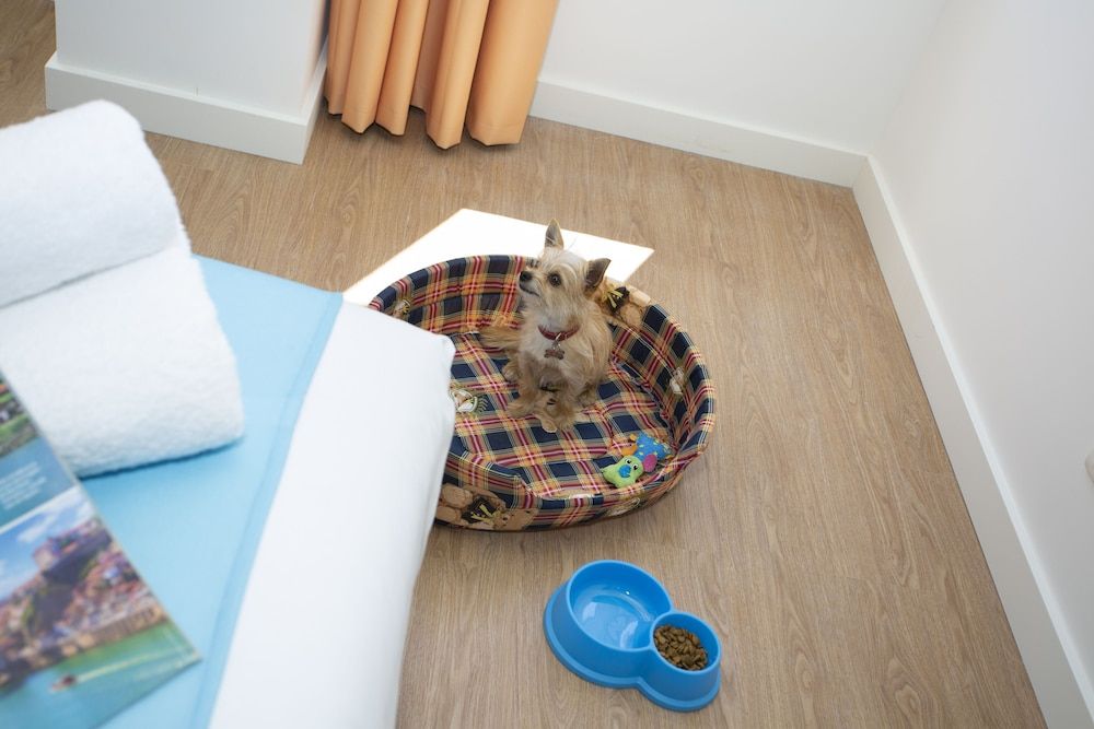 Casual Raizes Porto Hotel Double Room, 2 Twin Beds 3