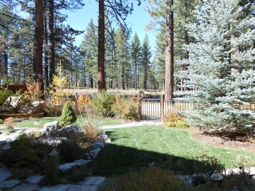 undefined Stunning Forest Retreat - Walk to Upper Truckee River! 8