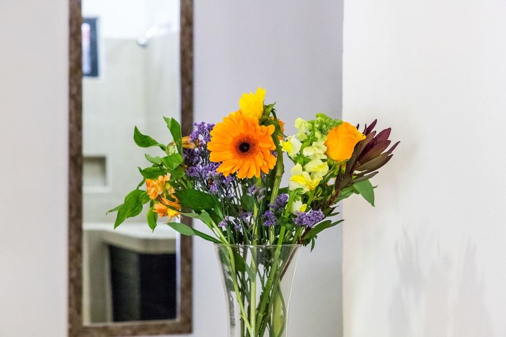 Moonshine Hotel Standard Double Room, Multiple Beds, Non Smoking, Pool View (Junior Suite) 5