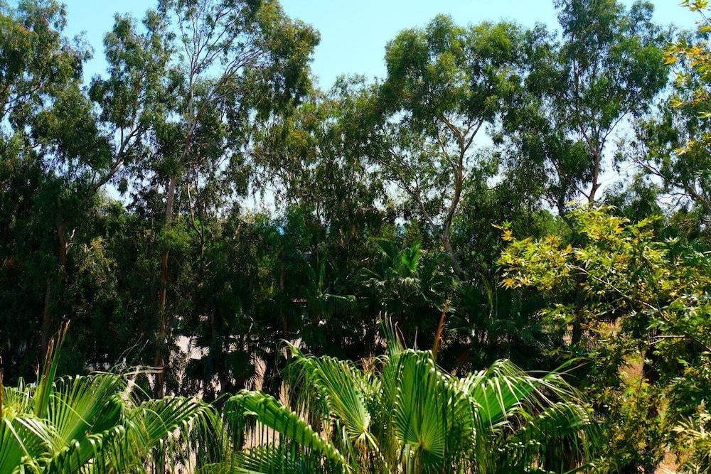 undefined Vega Suites 6