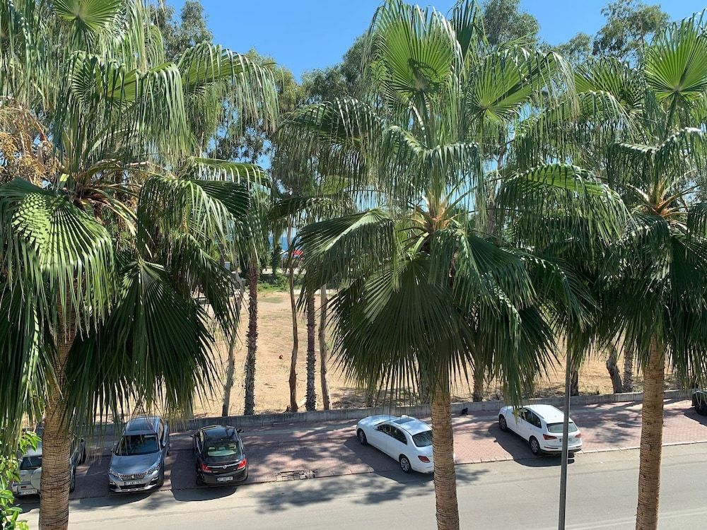 undefined Vega Suites 7