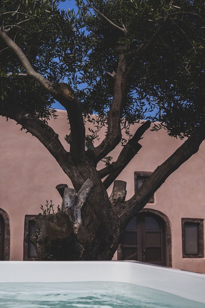 undefined Elysian Elia Heritage 6